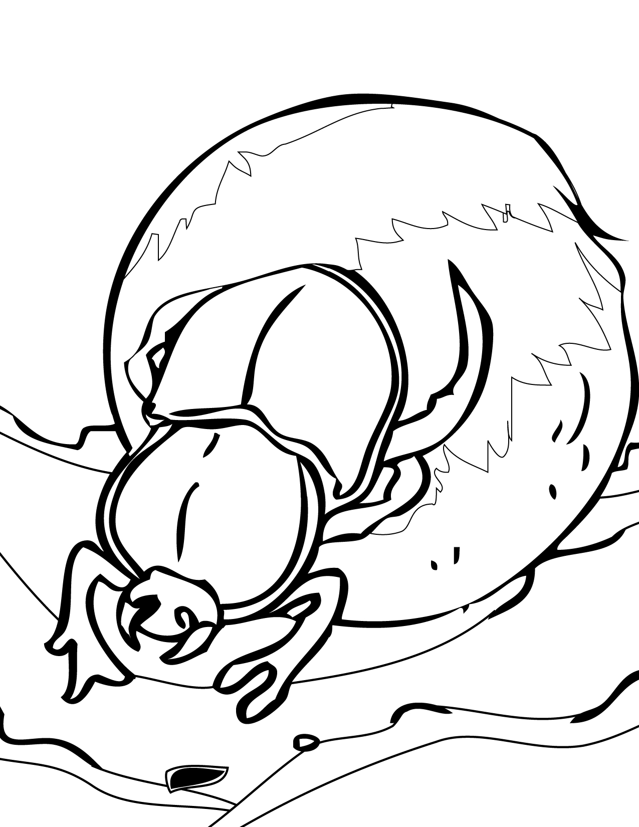 Dung Beetles Coloring Page 1275x1650 Dung Beetles Coloring Page