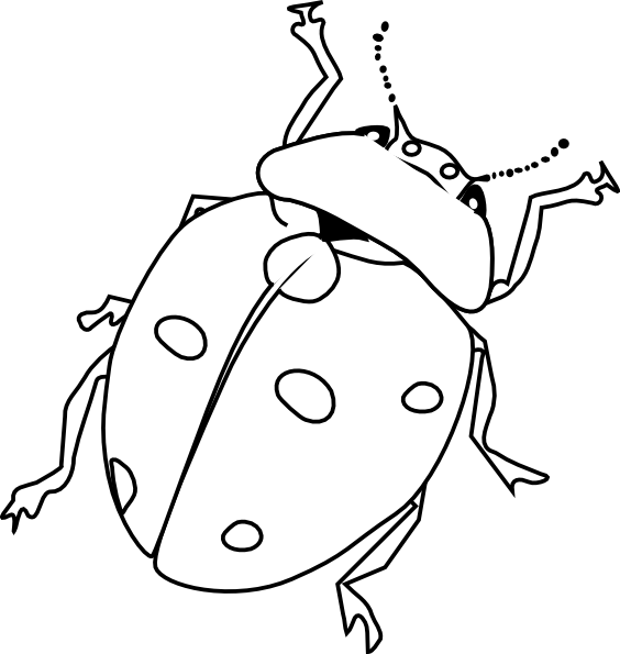 Insect Pictures To Color Jungle Insects Coloring Pages Coloring 564x595 Insect Pictures To Color Jungle Insects Coloring Pages Coloring