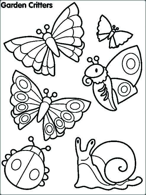 Insects Coloring Pages Bugs Coloring Page Coloring Pages Insects 494x659 Insects Coloring Pages Bugs Coloring Page Coloring Pages Insects