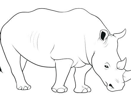 Rhinoceros Coloring Page Rhinoceros Coloring Pages To Print 440x330 Rhinoceros Coloring Page Rhinoceros Coloring Pages To Print