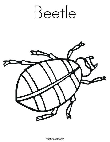 Beetle Coloring Page 468x605 Beetle Coloring Page