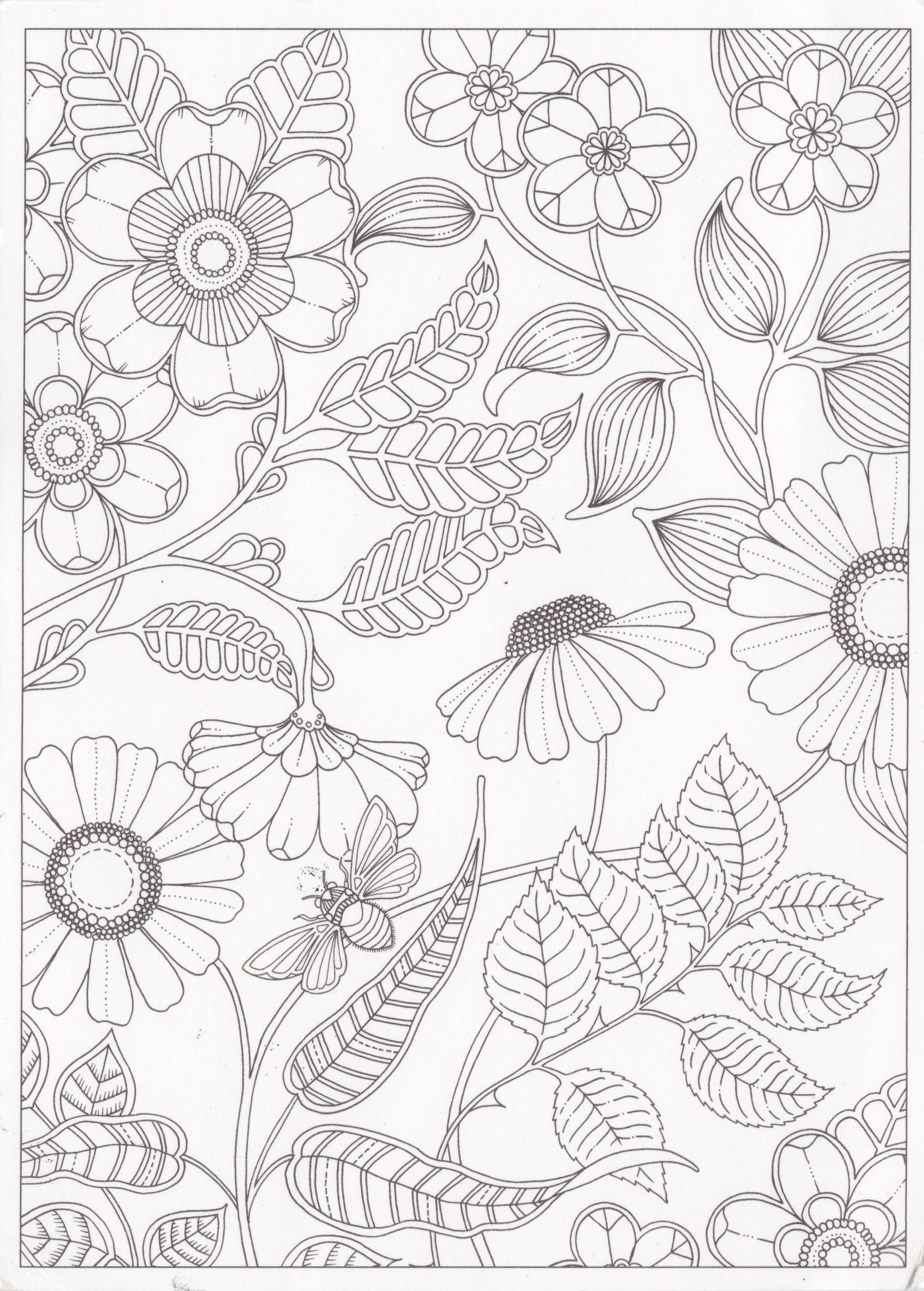 2323x3245 Card 15 Be 284269 Belgium.jpg