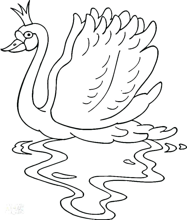 Bella Coloring Pages Coloring Pages Swan Horse Coloring Pages 750x883 Bella Coloring Pages Coloring Pages Swan Horse Coloring Pages