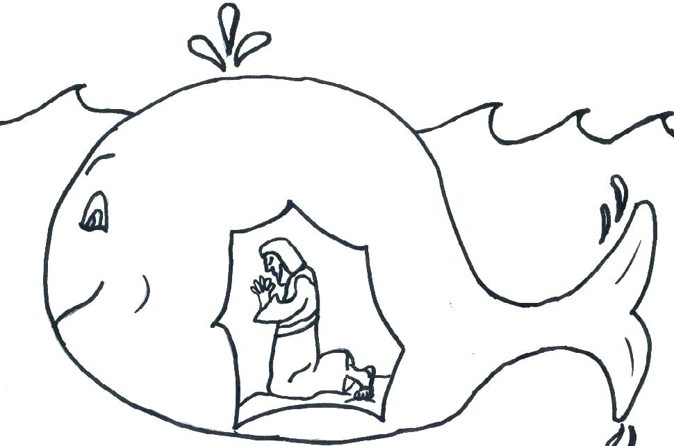 970x642 Whales Coloring Pages Whale Color Page Cartoon Beluga Whale Free