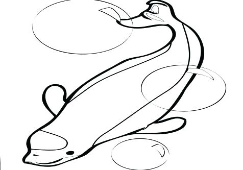 476x333 Coloring Pages Of Whales Coloring Pages Of Whales Movie Coloring