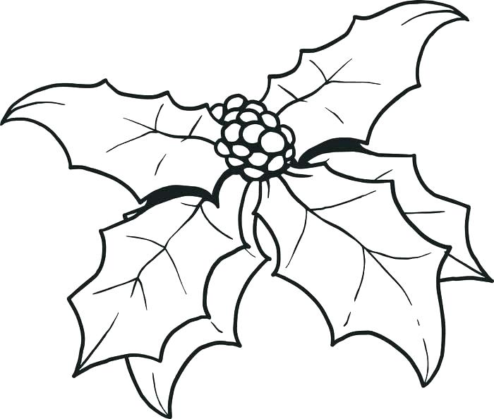 Ben And Holly Printable Colouring Pages And Holly Coloring Pages 700x594 Ben And Holly Printable Colouring Pages And Holly Coloring Pages