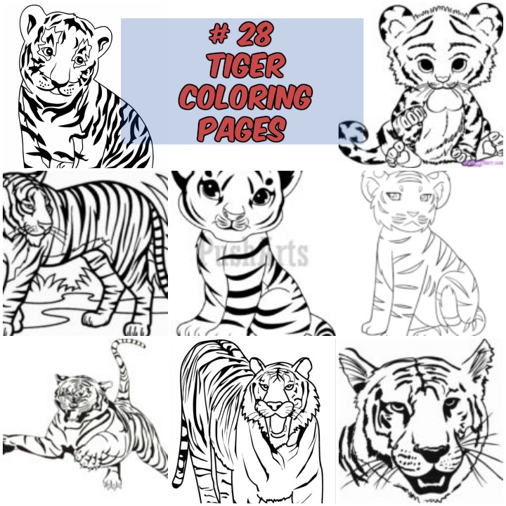 Bengal Tiger Coloring Page at GetColorings.com | Free printable ...