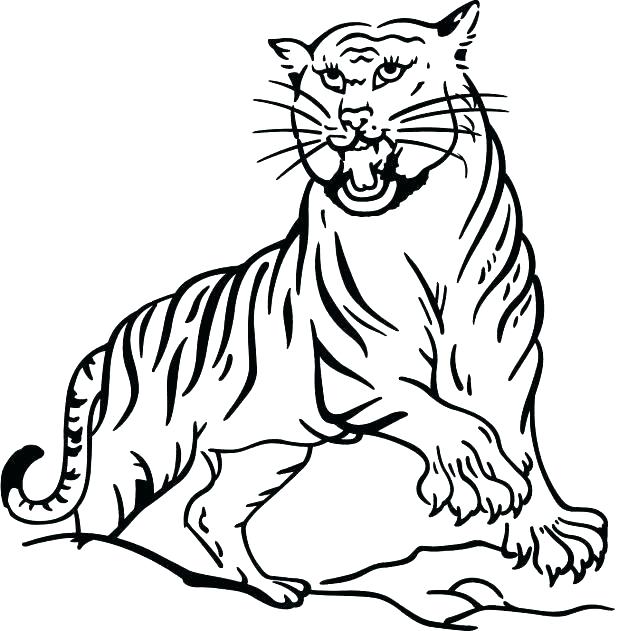 Bengal Tiger Coloring Page at GetColorings.com | Free printable ...