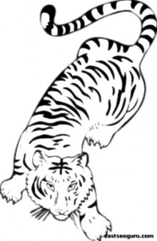 Printable Jungle Bengal Tiger Coloring Pages For Kids 220x338 Printable Jungle Bengal Tiger Coloring Pages For Kids