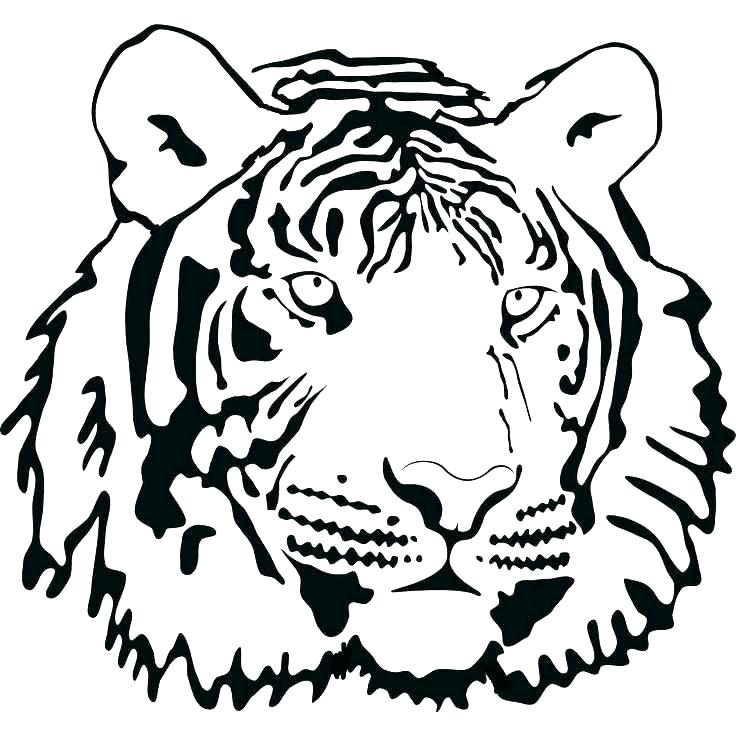 Coloring Pages Of Tiger 736x736 Coloring Pages Of Tiger