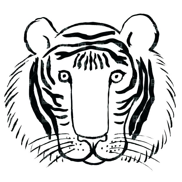 Tiger Coloring Picture Everychat.co 618x618 Tiger Coloring Picture Everychat.co