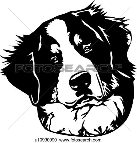Bernese Mountain Dog Clipart 449x470 Bernese Mountain Dog Clipart