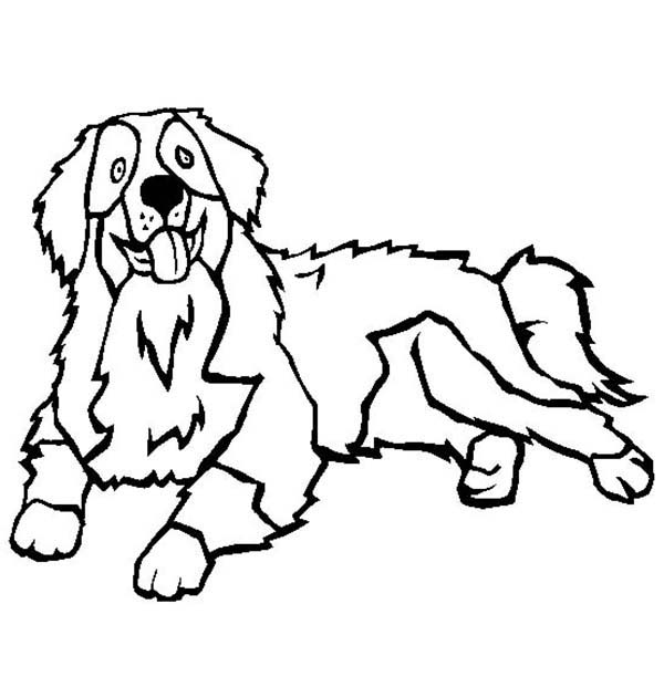 Bernese Mountain Dog Coloring Page Color Luna 600x612 Bernese Mountain Dog Coloring Page Color Luna