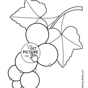 300x300 Coloring Pages Of Grapes Best Of Grapes Fruits And Berries