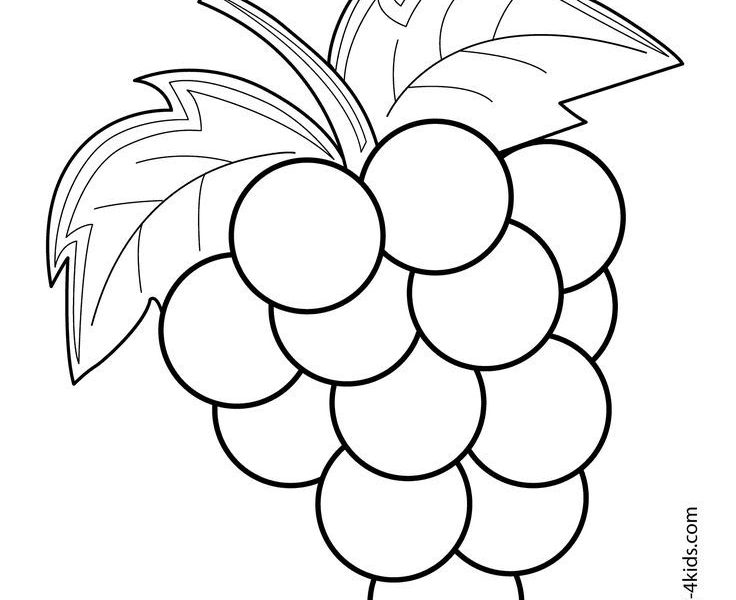 736x600 Fruit Coloring Pages Grapes Fruits And Berries Coloring Pages