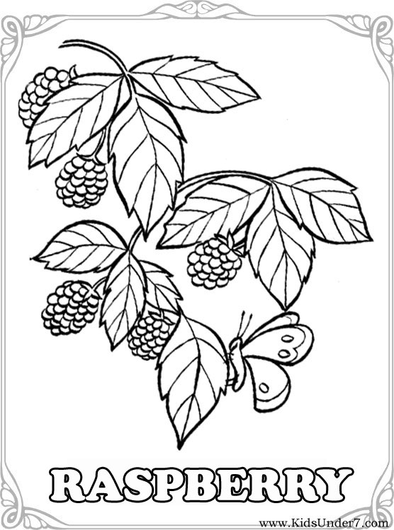 556x749 Kids Under 7 Fruits And Berries Coloring Pages
