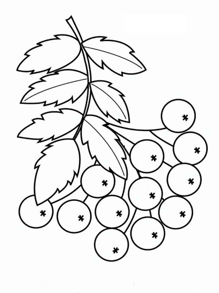 750x1000 Rowan Coloring Pages. Download And Print Rowan Coloring Pages.