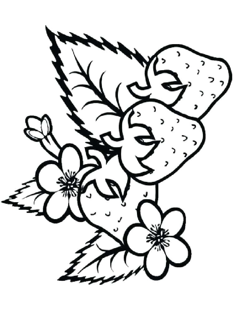 750x1000 Strawberry Coloring Picture Strawberry Berries Coloring Pages