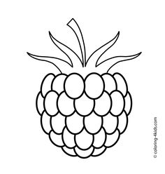 236x248 Two Gooseberries Fruits And Berries Coloring Pages For Kids
