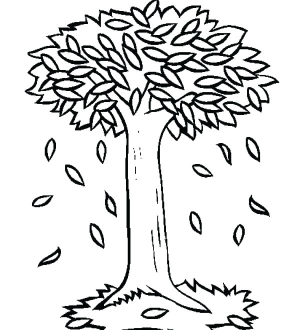 600x660 Leaves Coloring Pages