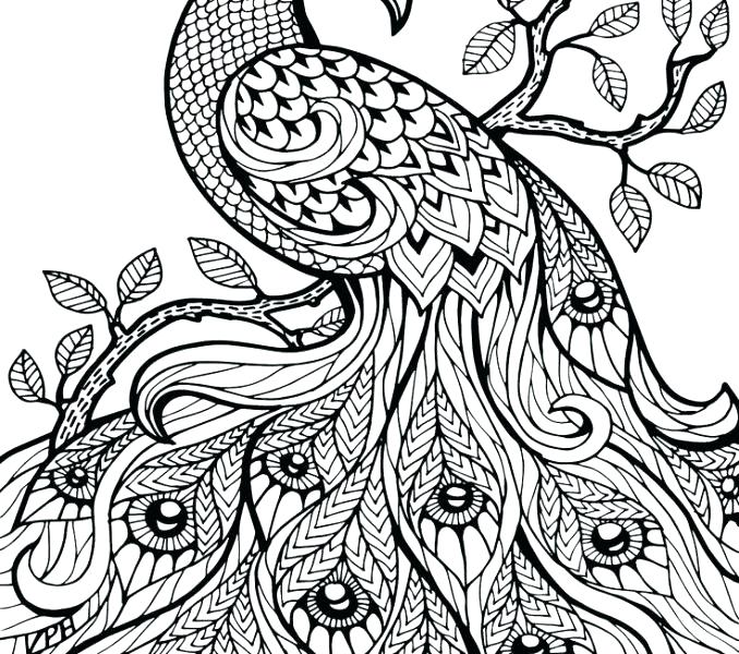 Free Coloring Printable Pages Shippa.co 678x600 Free Coloring Printable Pages Shippa.co