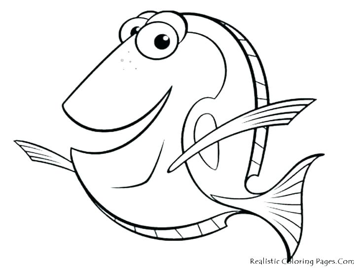 728x546 Betta Fish Coloring Pages Gold Betta Fish Coloring Sheets