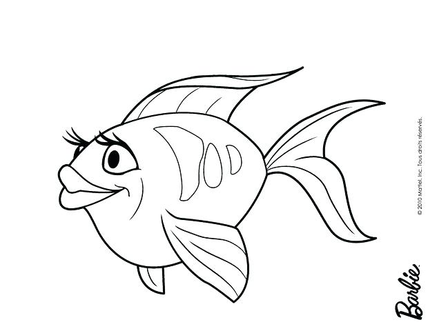 620x480 Fish Coloring Page Free Printable Coloring Pages Fish Coloring