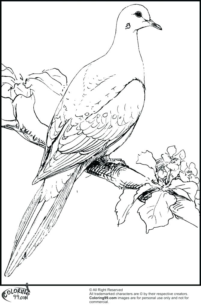 669x1024 Inspirational Betta Fish Coloring Pages New 19027 Inspirational