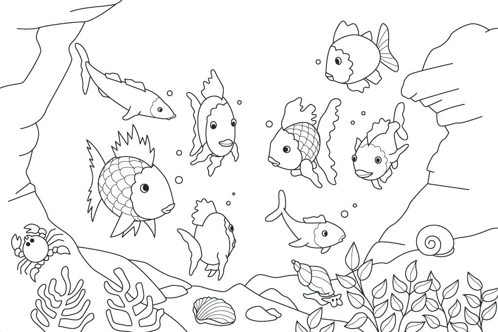 1024x683 Printable Fish Coloring Pages Top Printable Fish Coloring Pages