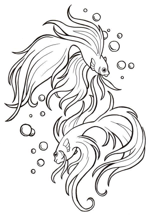 600x857 Betta Fish Coloring Pages Betta Fish, Paper Cutting And Crafts