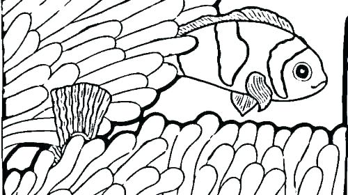 Printable Fish Coloring Pages Angel Fish Coloring Page Fish 500x280 Printable Fish Coloring Pages Angel Fish Coloring Page Fish