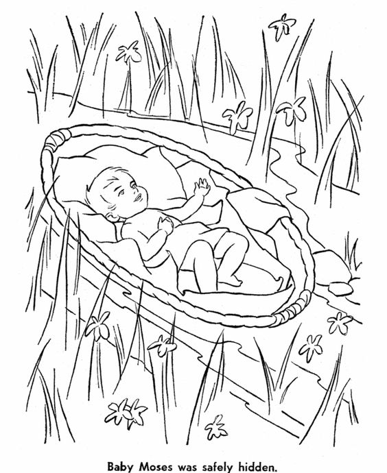 Bible Story Characters Coloring Page Sheets 564x690 Bible Story Characters Coloring Page Sheets