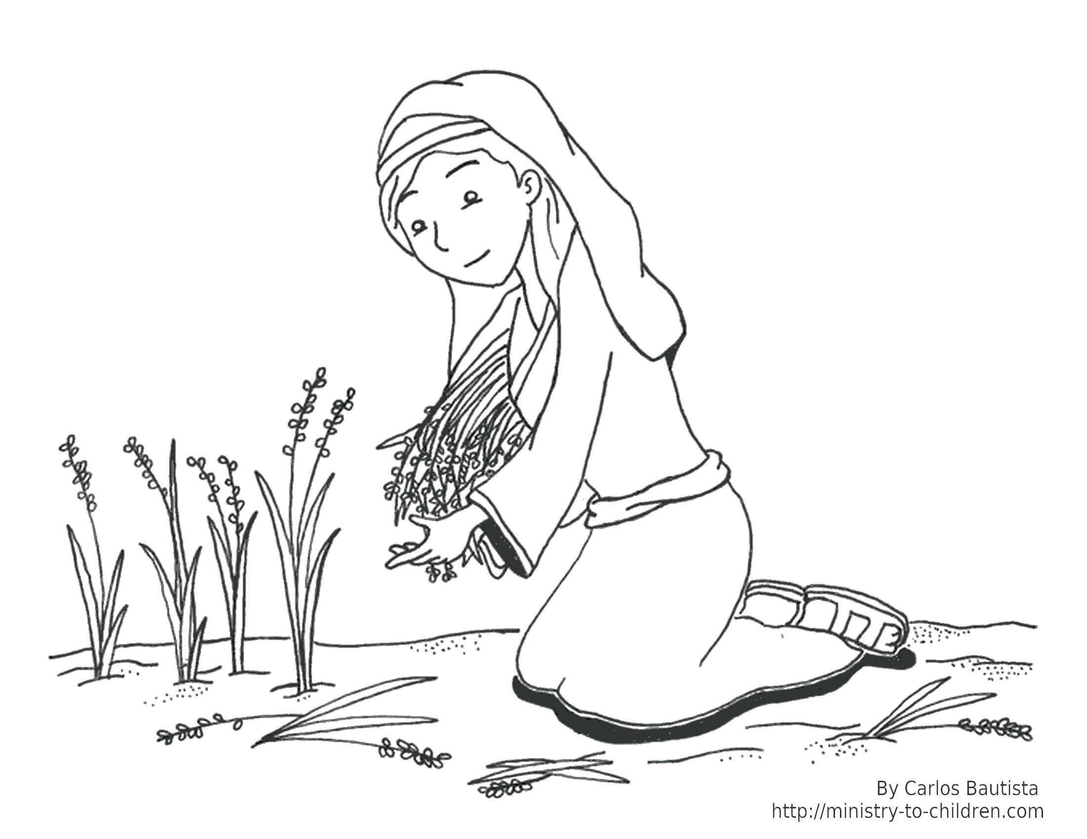 Coloring Pages Flowers And Butterflies Bible Character Moses Story 2200x1700 Coloring Pages Flowers And Butterflies Bible Character Moses Story
