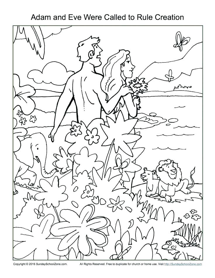 736x952 Bible Story Coloring Pages Bible Story Coloring Pages And Eve Were