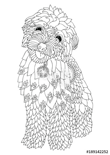 354x500 Golden Doodle. Hand Drawn Dog. Sketch For Anti Stress Adult