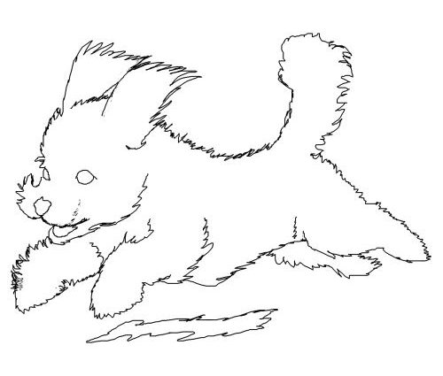 500x425 Bichon Frise Coloring Pages Bichon Frise Puppy Coloring Page Ideas
