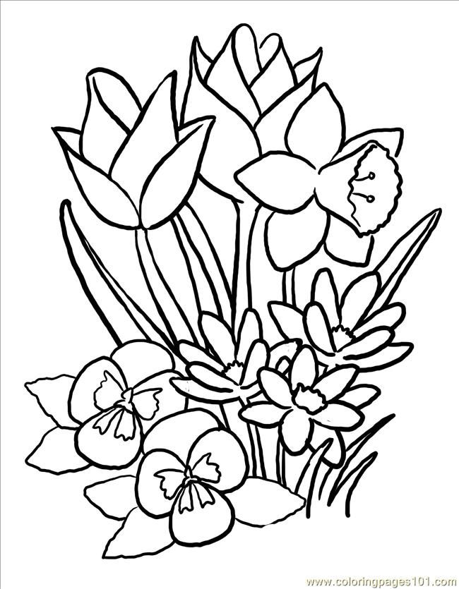 Flower Coloring Pages For Adults Free Printable Coloring Page 650x835 Flower Coloring Pages For Adults Free Printable Coloring Page