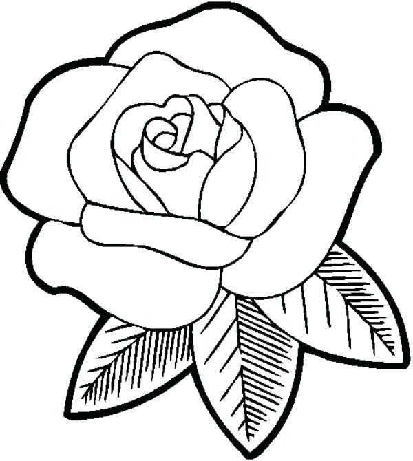 Elegant Big Coloring Pages For Big Beautiful Rose Coloring Page 73 600x670 Elegant Big Coloring Pages For Big Beautiful Rose Coloring Page 73