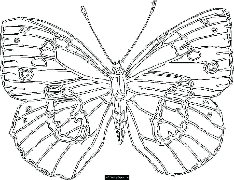 Large Coloring Pages To Print 953x733 Large Coloring Pages To Print