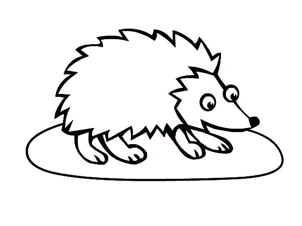600x450 Big Eyed Hedgehog Coloring Pages Online Free For Kids Sun Part 5