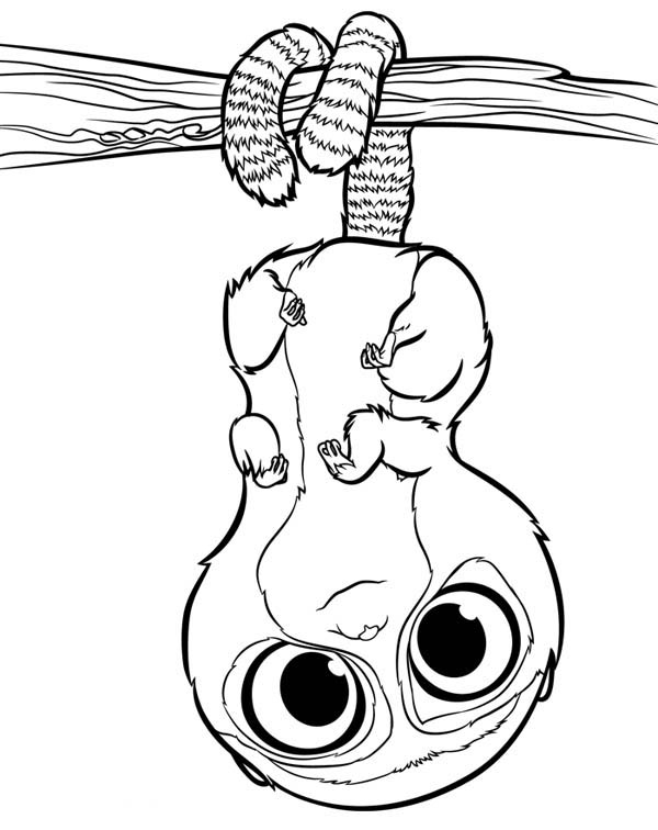 600x756 Animal With Big Eyes Coloring Pages