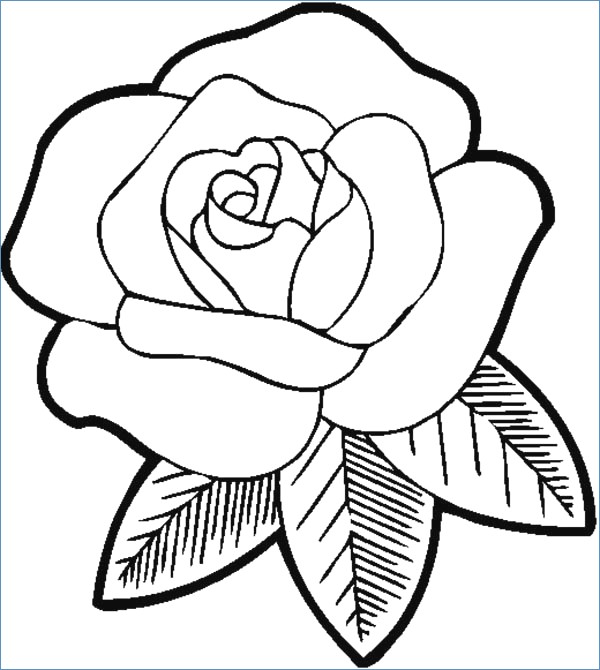 Butterfly And Big Flower Coloring Page For Kindegarten 600x670 Butterfly And Big Flower Coloring Page For Kindegarten