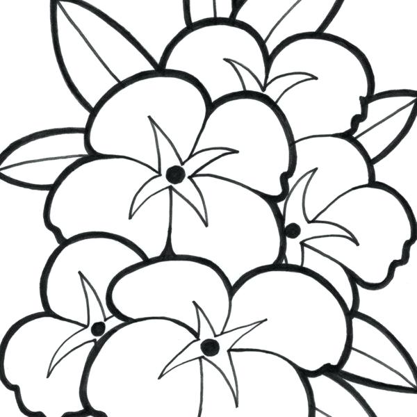 Big Flower Coloring Pages at GetColorings.com | Free printable ...