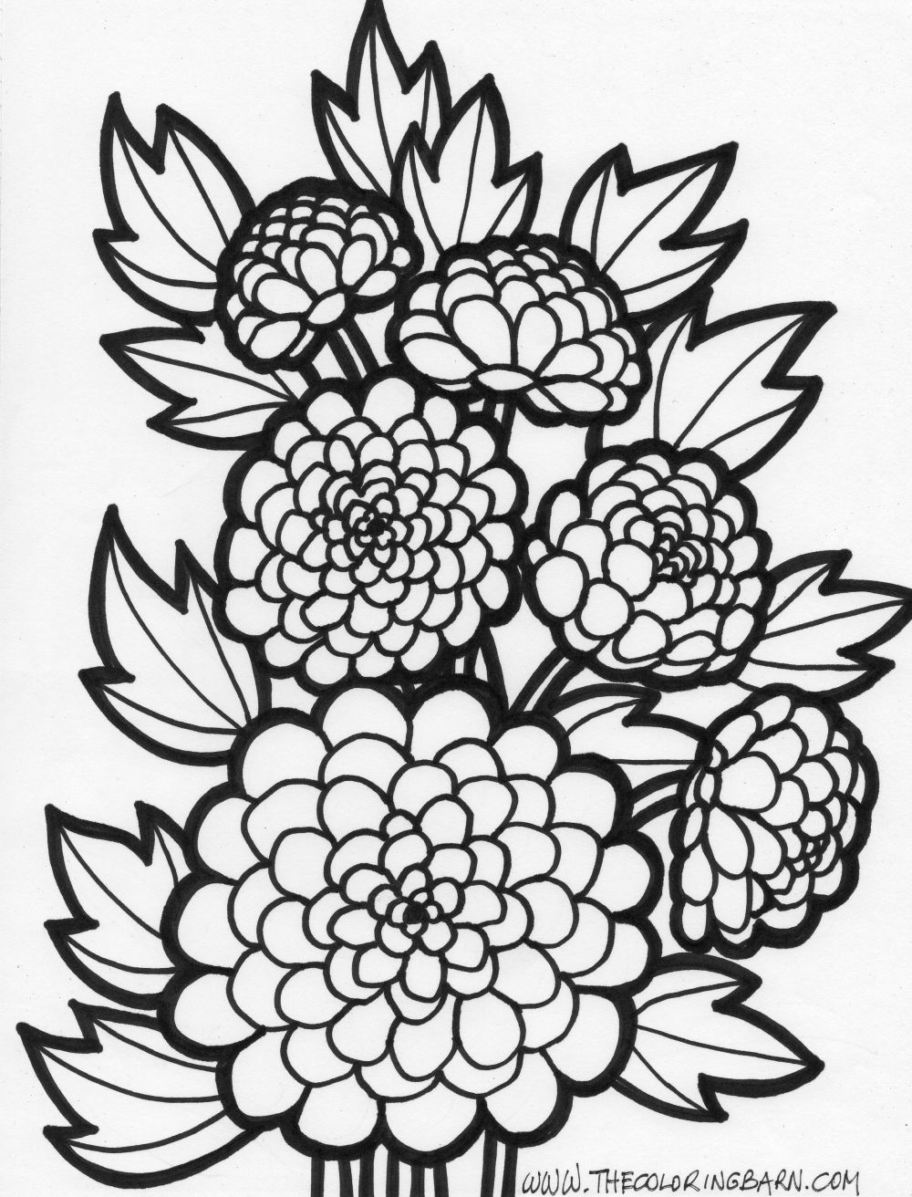 Flowers Coloring Pages 1000x1312 Flowers Coloring Pages