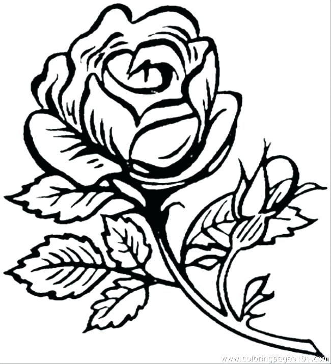 Flowers Colouring Pages Printable Big Flower Coloring 650x715 Flowers Colouring Pages Printable Big Flower Coloring