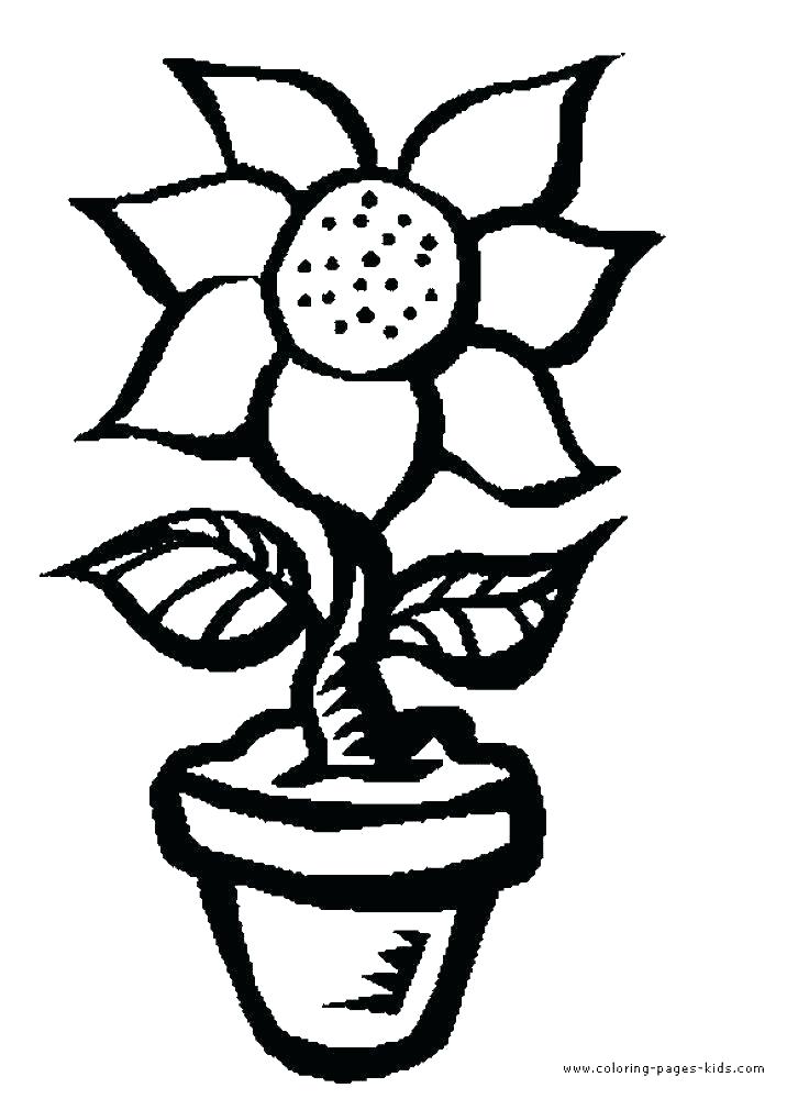 Large Flower Coloring Pages Perfect Flower Color Pages About Large 726x1000 Large Flower Coloring Pages Perfect Flower Color Pages About Large