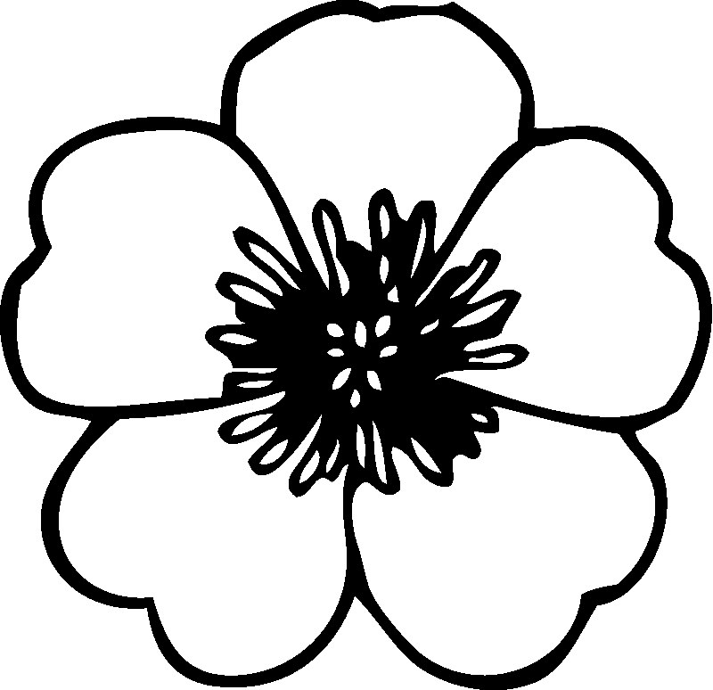 Simple Flower Coloring Pages 800x774 Simple Flower Coloring Pages