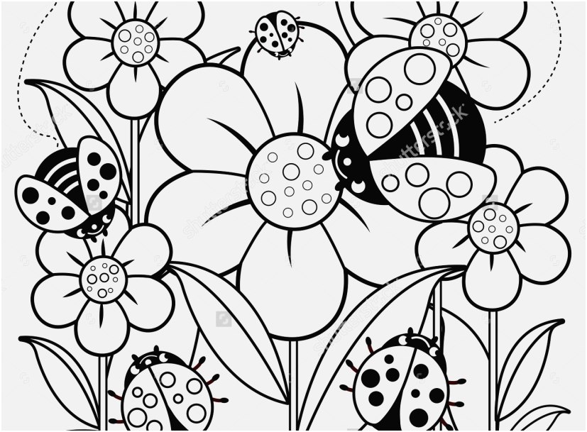 The Ideal Stock Coloring Pictures Of Flowers Most Popular 827x609 The Ideal Stock Coloring Pictures Of Flowers Most Popular