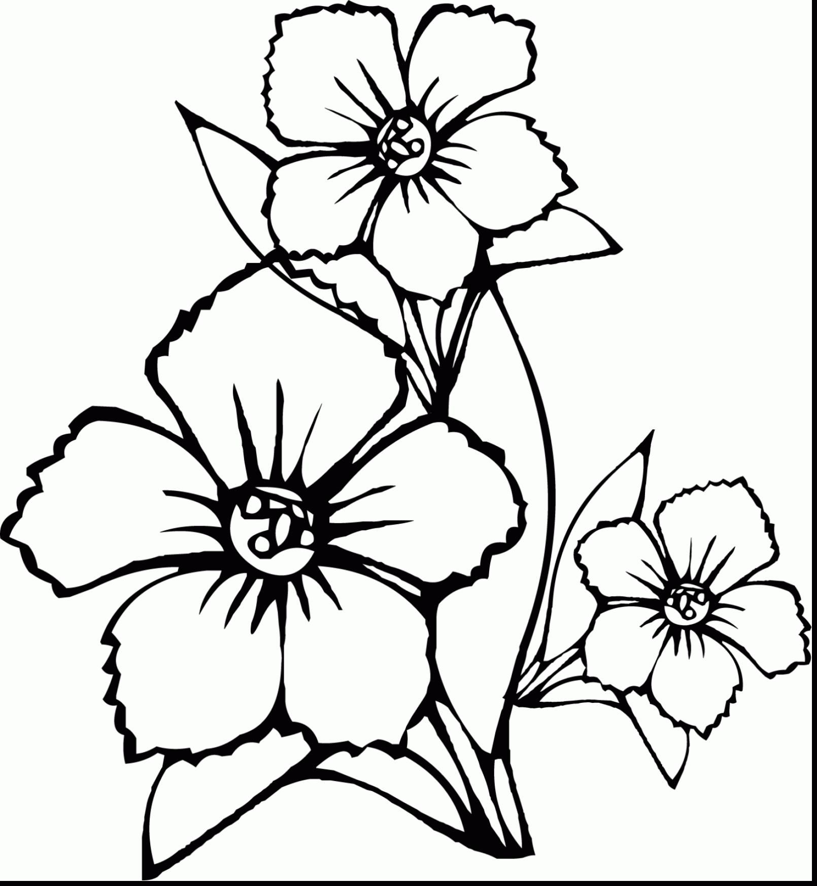 Big Flower Coloring Pages Coloring Page Fun 1610x1746 Big Flower Coloring Pages Coloring Page Fun