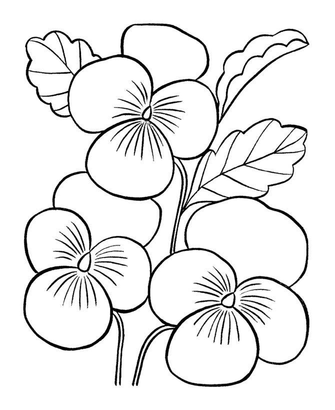 Big Flower Coloring Pages Flowers Coloring Pages Artsy Crafty 670x820 Big Flower Coloring Pages Flowers Coloring Pages Artsy Crafty